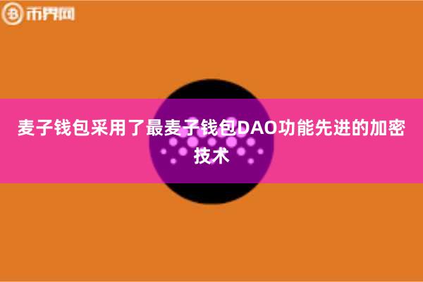 麦子钱包采用了最麦子钱包DAO功能先进的加密技术