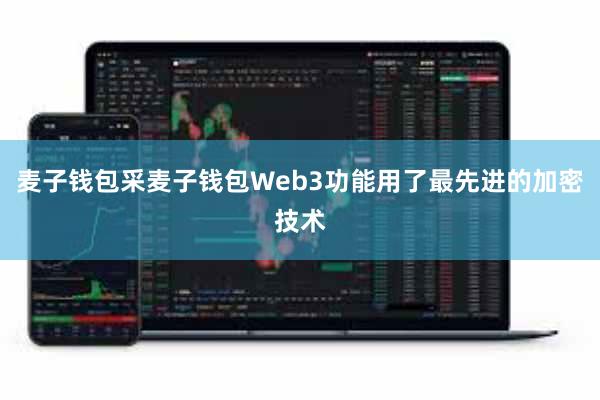 麦子钱包采麦子钱包Web3功能用了最先进的加密技术