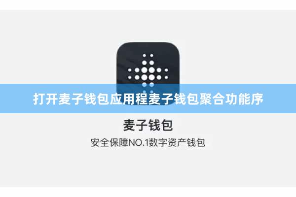 打开麦子钱包应用程麦子钱包聚合功能序