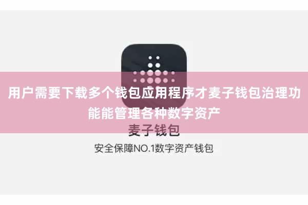 用户需要下载多个钱包应用程序才麦子钱包治理功能能管理各种数字资产