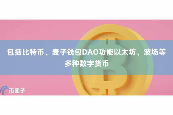 包括比特币、麦子钱包DAO功能以太坊、波场等多种数字货币