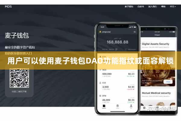 用户可以使用麦子钱包DAO功能指纹或面容解锁