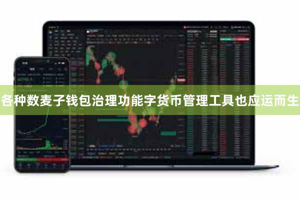 各种数麦子钱包治理功能字货币管理工具也应运而生