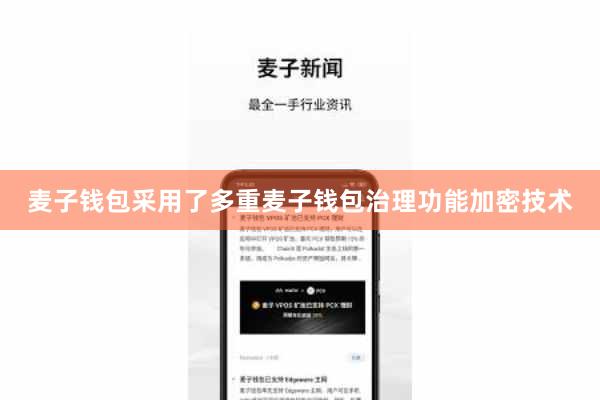 麦子钱包采用了多重麦子钱包治理功能加密技术