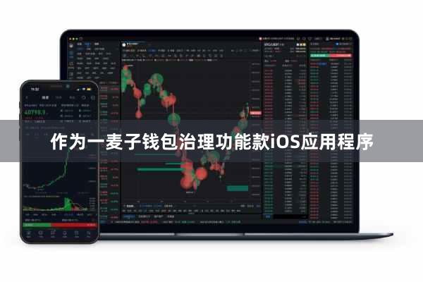 作为一麦子钱包治理功能款iOS应用程序