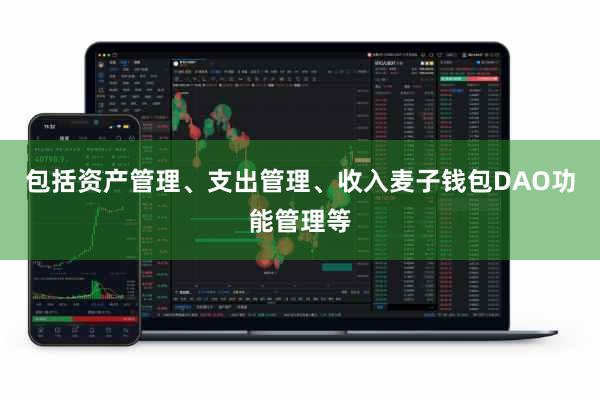 包括资产管理、支出管理、收入麦子钱包DAO功能管理等