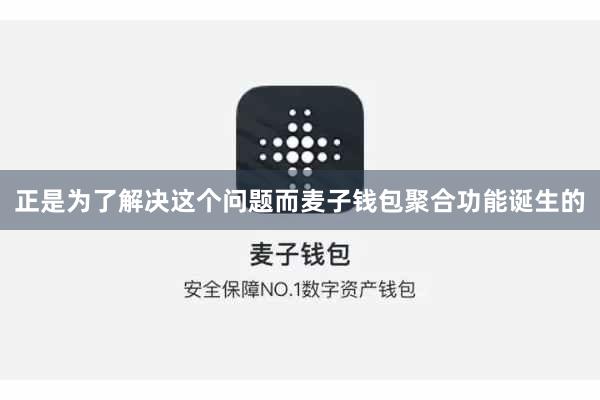 正是为了解决这个问题而麦子钱包聚合功能诞生的