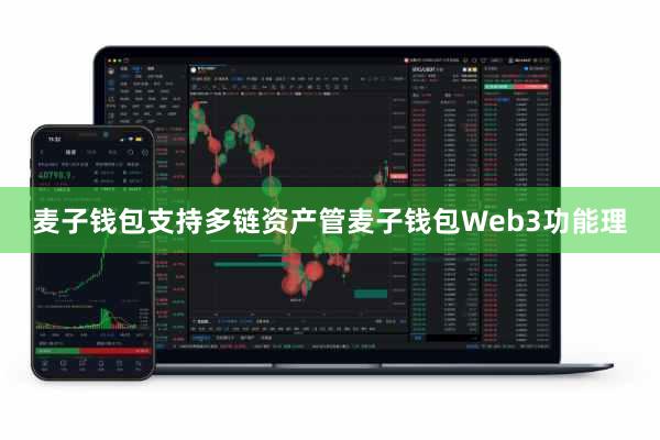 麦子钱包支持多链资产管麦子钱包Web3功能理