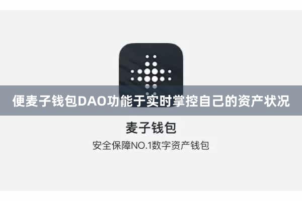 便麦子钱包DAO功能于实时掌控自己的资产状况