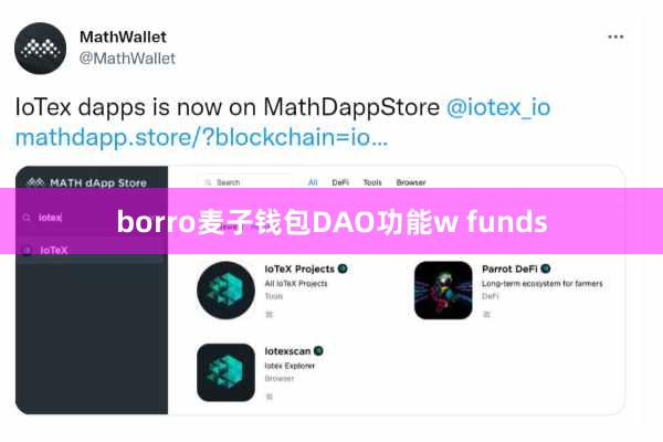 borro麦子钱包DAO功能w funds