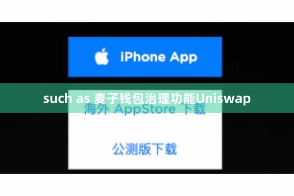 such as 麦子钱包治理功能Uniswap