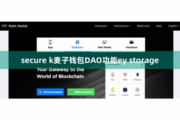 secure k麦子钱包DAO功能ey storage