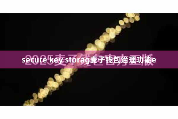 secure key storag麦子钱包治理功能e