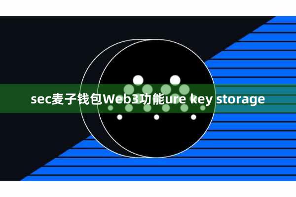 sec麦子钱包Web3功能ure key storage