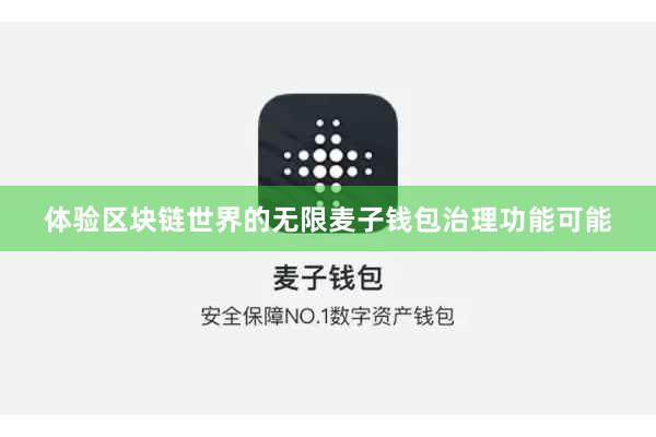 体验区块链世界的无限麦子钱包治理功能可能