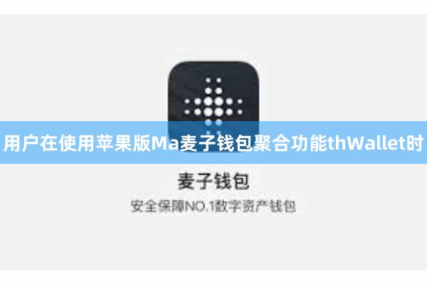 用户在使用苹果版Ma麦子钱包聚合功能thWallet时