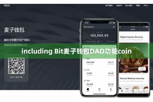 including Bit麦子钱包DAO功能coin
