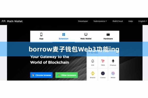 borrow麦子钱包Web3功能ing
