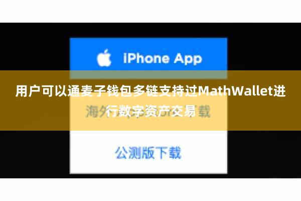 用户可以通麦子钱包多链支持过MathWallet进行数字资产交易