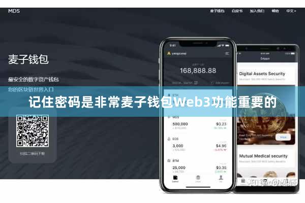 记住密码是非常麦子钱包Web3功能重要的
