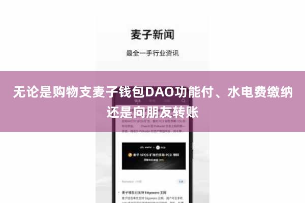无论是购物支麦子钱包DAO功能付、水电费缴纳还是向朋友转账