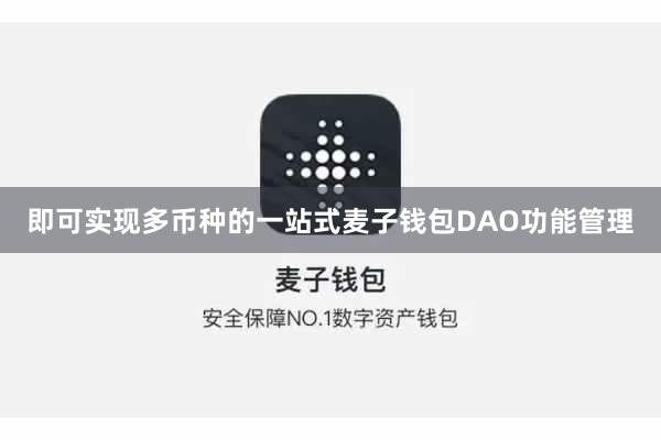 即可实现多币种的一站式麦子钱包DAO功能管理