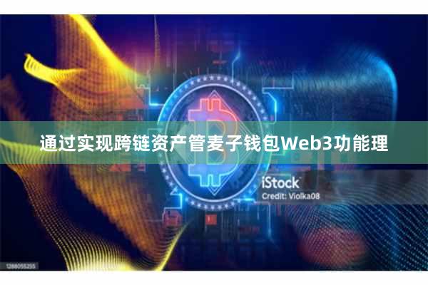 通过实现跨链资产管麦子钱包Web3功能理