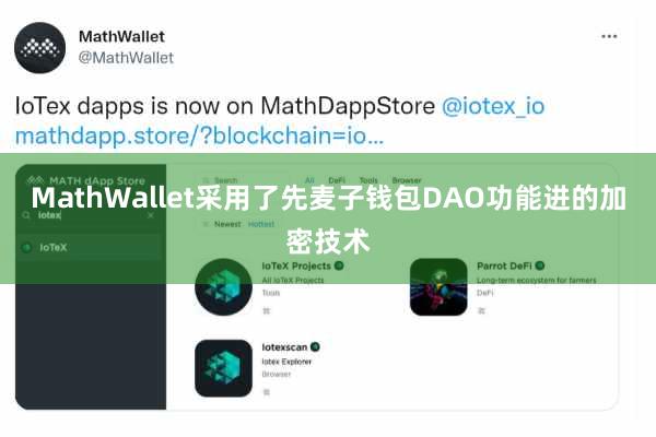 MathWallet采用了先麦子钱包DAO功能进的加密技术